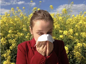 Allergien auflösen mit Hypnose. Pollen, Nüsse, Gräser Lebensmittel.